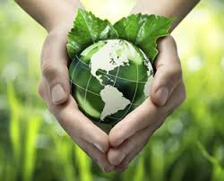 Caring for Creation